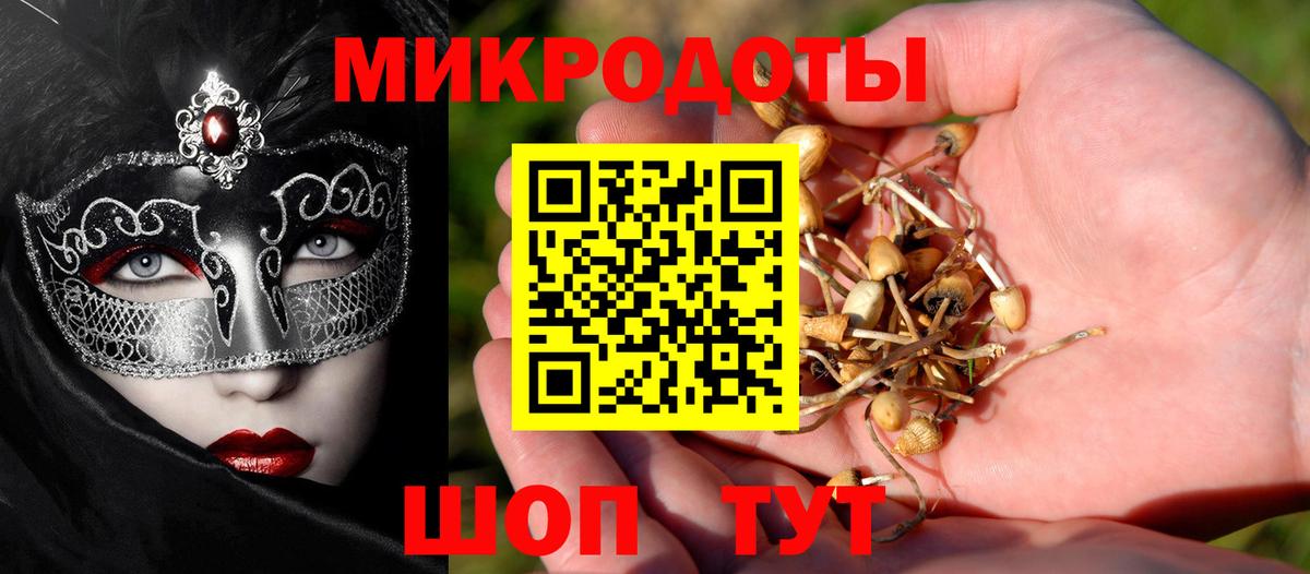 Псилоцибиновые грибы мицелий Ртищево
